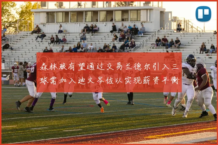 森林狼有望通过交易兰德尔引入三球需加入迪文岑佐以实现薪资平衡