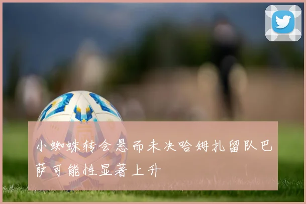 小蜘蛛转会悬而未决哈姆扎留队巴萨可能性显著上升